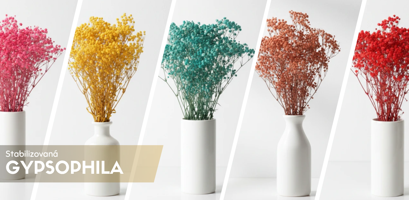 Stabilizovaná gypsophila alebo nevestin závoj do vázy a svadobných kytíc